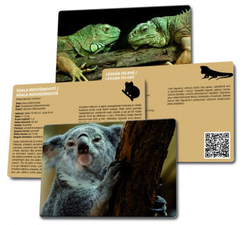 Loto-trio  Zvířata v ZOO 2 –  dětské vzdělávací hry