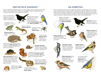 Začínáme vystřihovat Zahrada - vystřihovánka