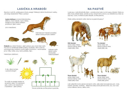 Začínáme vystřihovat Na louce - vystřihovánka